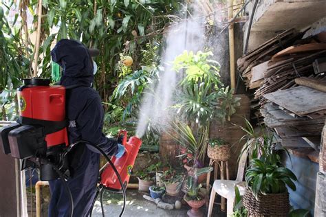 vice mayor of baguio city|Dengue deaths rise to 12 in Baguio City .